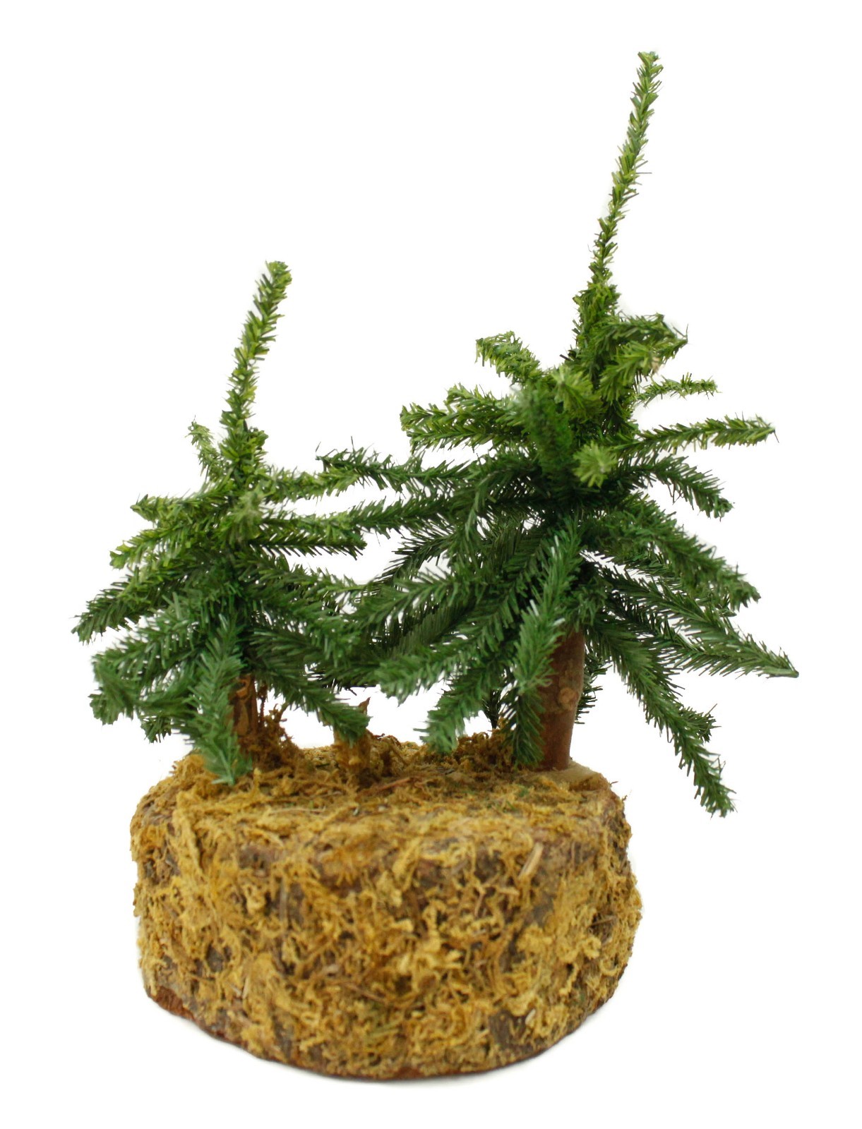 Two Small Pine Trees Tabletop Shelf Nature Decoration Moss Base