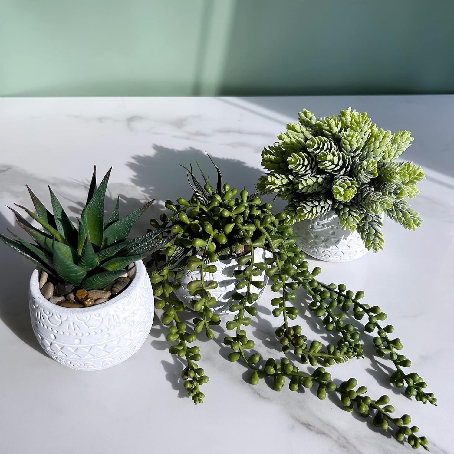 Elegant Succulent Trio in Geometric Ceramic Pots – Perfect for All Occasions