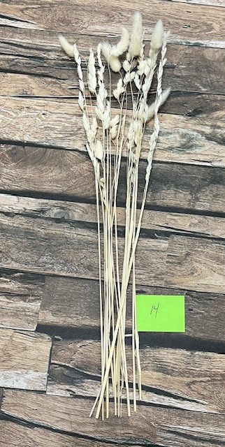 Natural Dried Pampas Grass ~ Boho ~ Home Decor ~ Wedding ~ 70 pcs