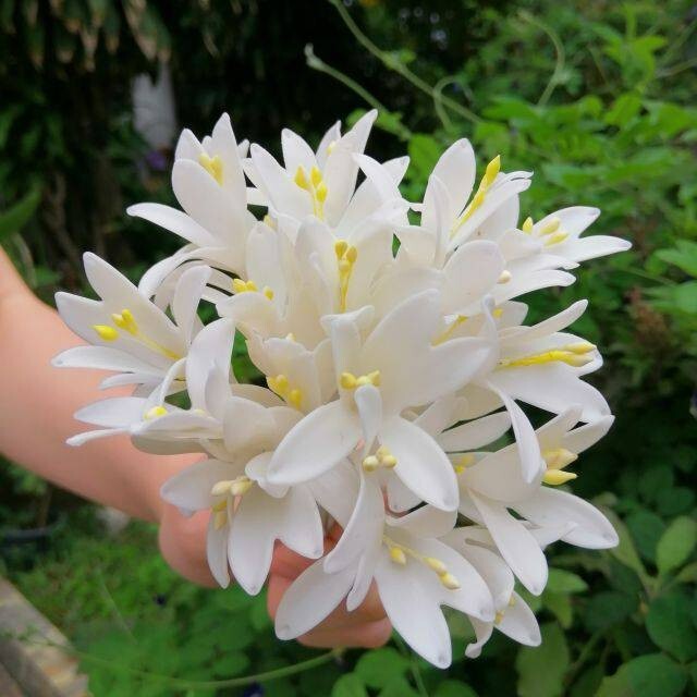 10 Pcs. Indian Cork Flowers Clay Artificial Thai Handmade Decorate Arrangement