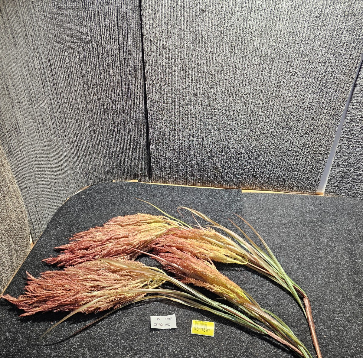 (QTY 2) Arhaus 6510129D0798 Pampas Grass Purple