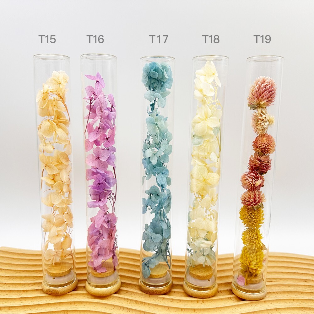 Plant specimens handmade test tube dried flowers immortal flowers holiday birthd