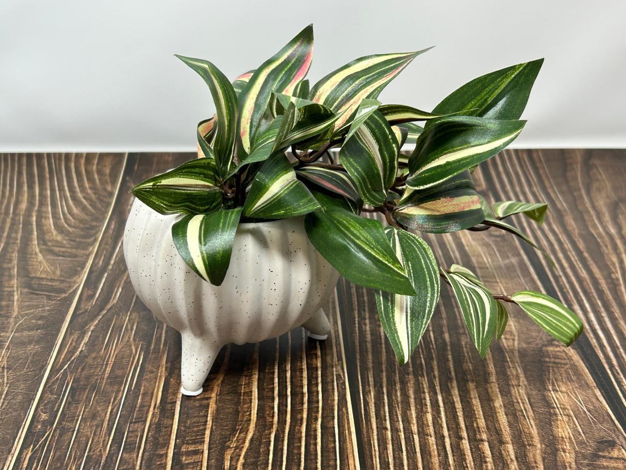 6″ Small PINK JEW faux Silk INCH plant potted in Matte Dot White Ceramic Pot, ha