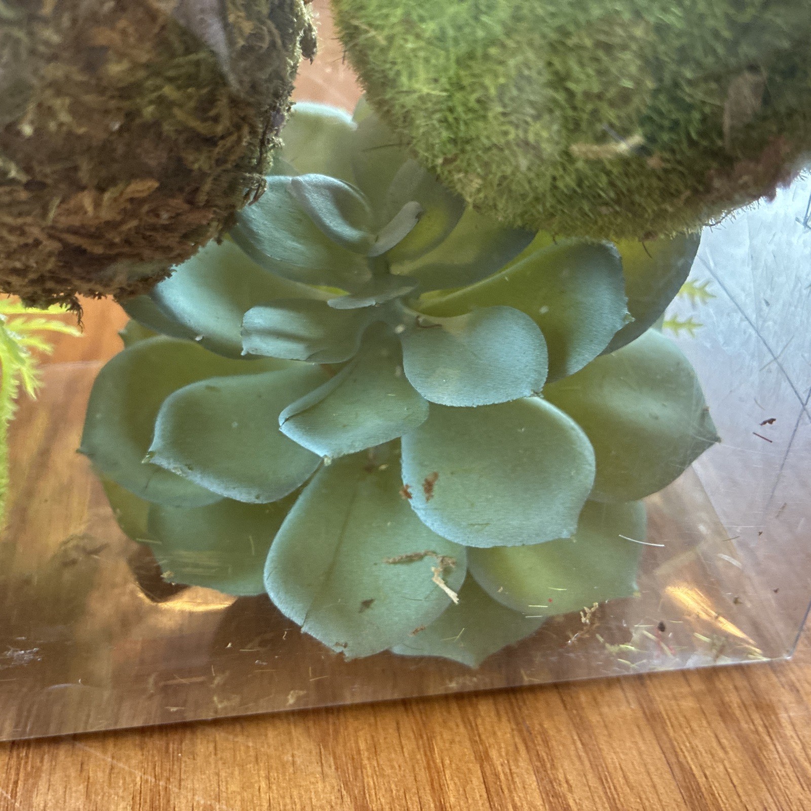 Box Of Artificial Floral Decorations Succulents, Ferns And Moss Balls By Ashland