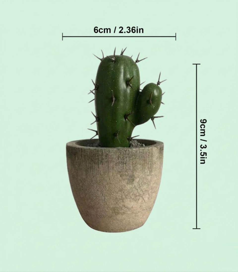 Faux Succulents with Pots – Perfect Gift for Valentine’s, Graduation, or Back-to