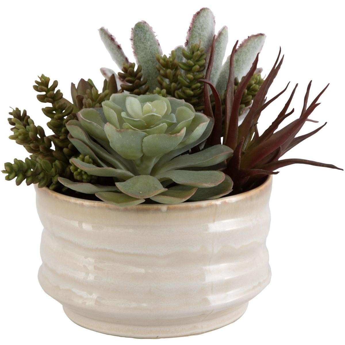 Uttermost 60209 Mesa Succulent Green with Textured Tan Glaze Succulent Accent
