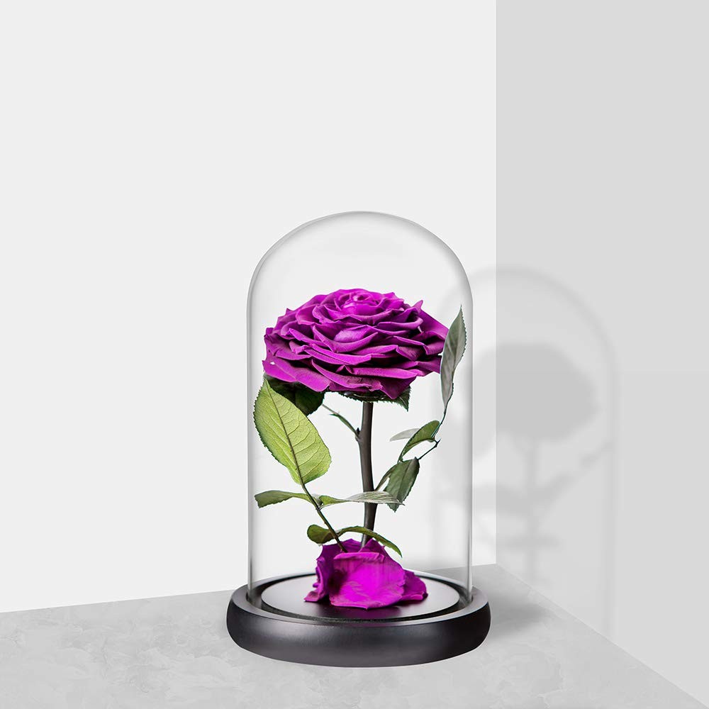 Preserved Flowers Handmade Purple Rose in Glass Dome 9 inch Romantic Gift
