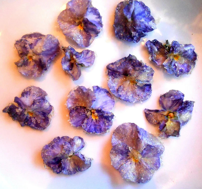 FRESH EDIBLE /GARNISH FLOWERS Multi Color Violas Free Overnight Ship WEDNESDAYS