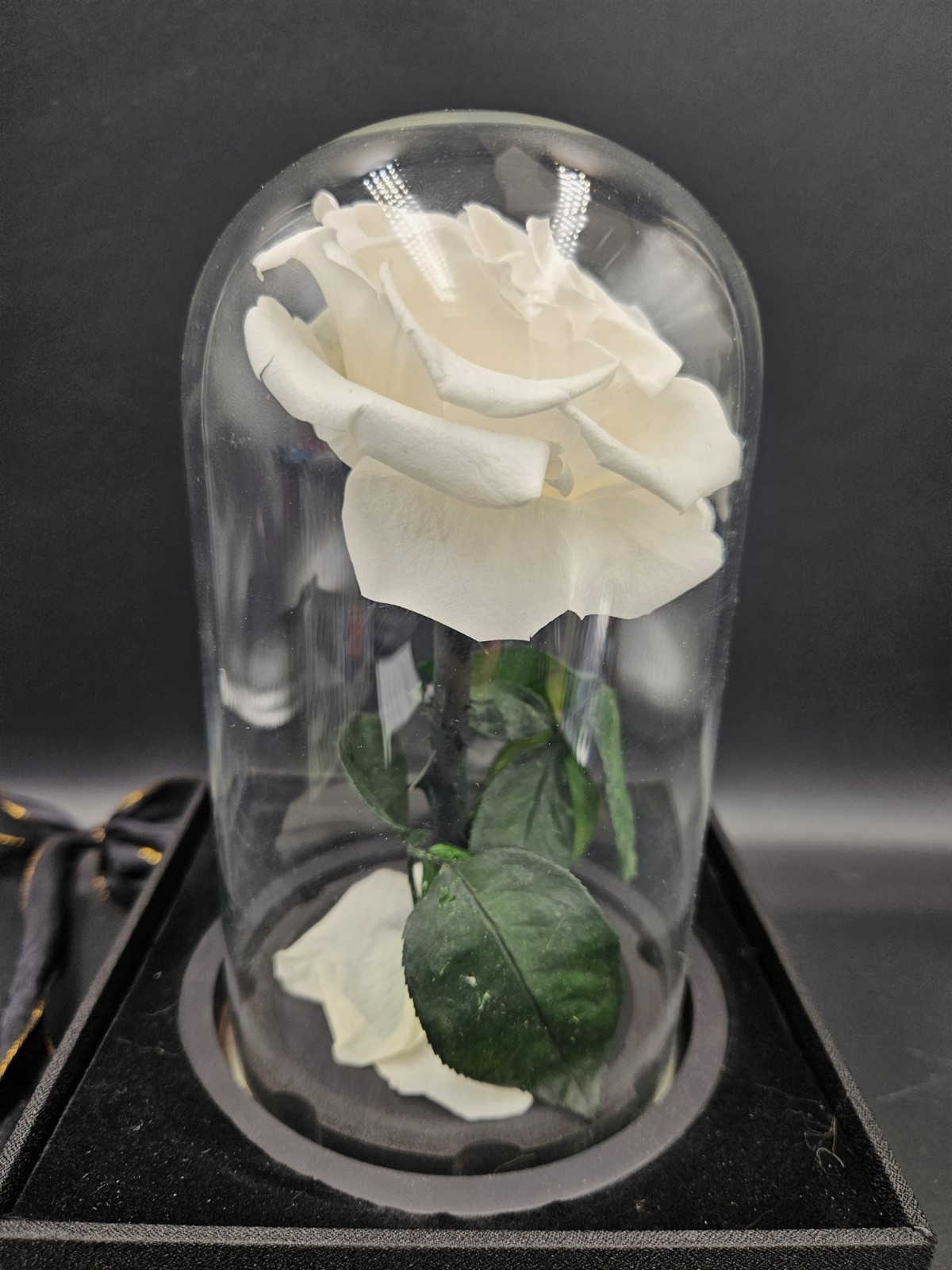 Preserved Rose in Glass Dome White Eternal Infinity Rose