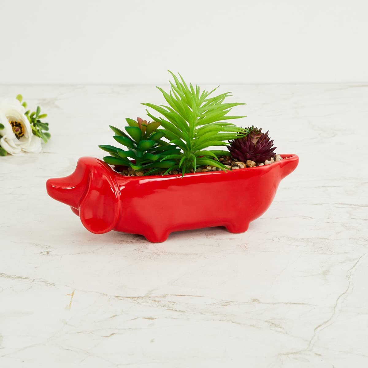 Home Centre Garnet Elsa Dog With Succulent Plant For Decoration