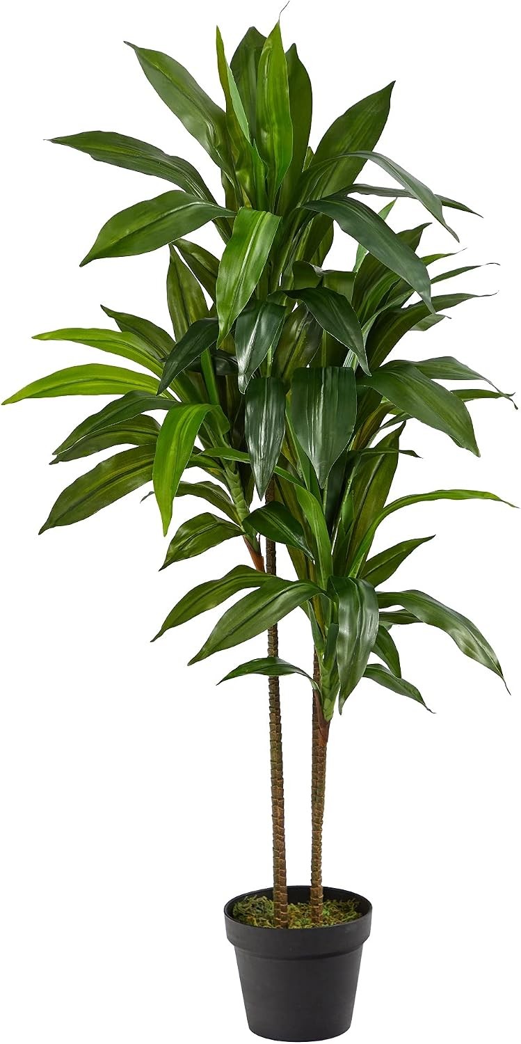 48in Artificial Dracaena W/ Real Touch Leaves & Multi Tonal Trunks Large Indoor