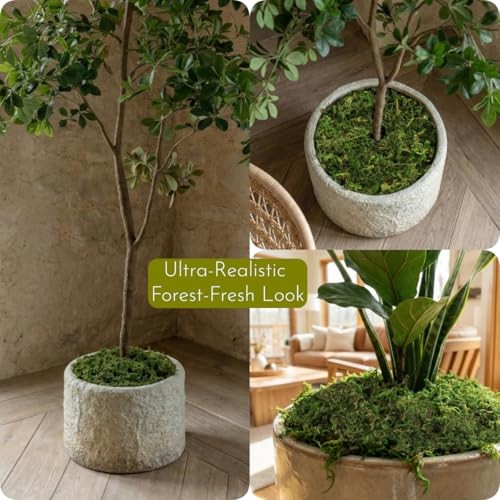 7OZ Moss for Plants Indoor, Natural Looking Faux Grass for Crafts, Fresh Green