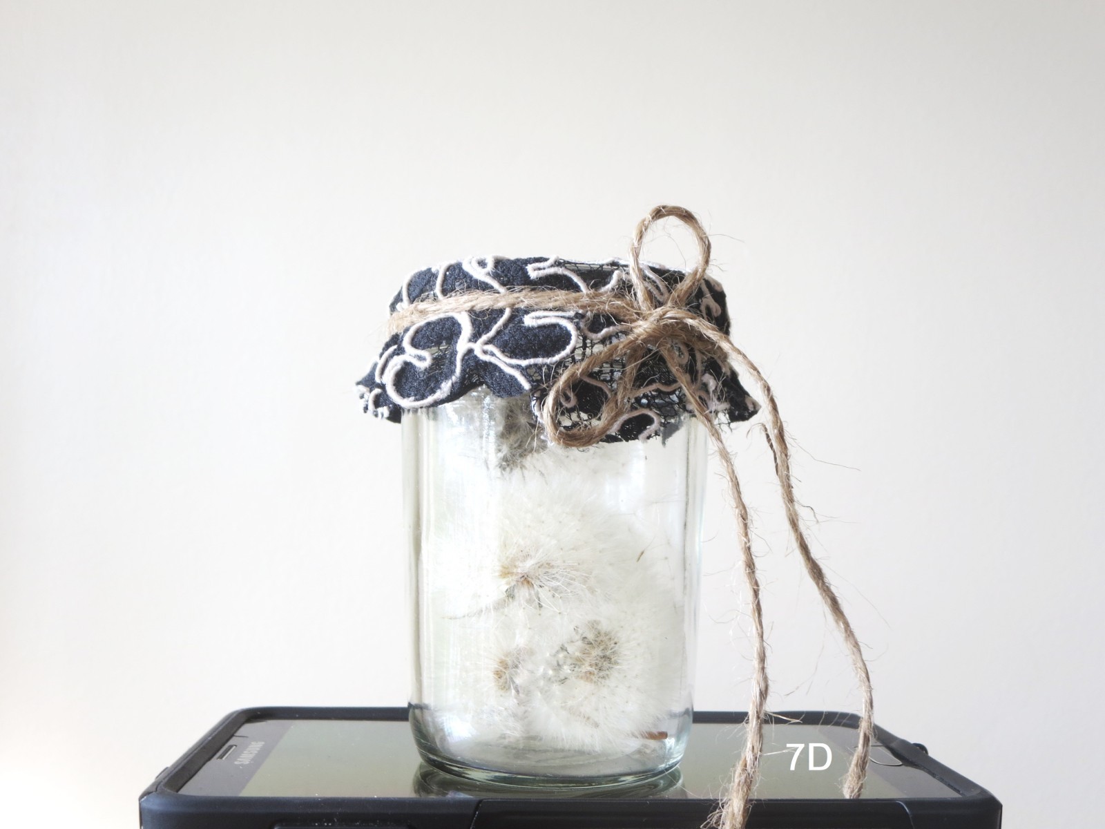 Dried Dandelion Art Dandelion Flower For Craft Dried Flowers decor Dandelions