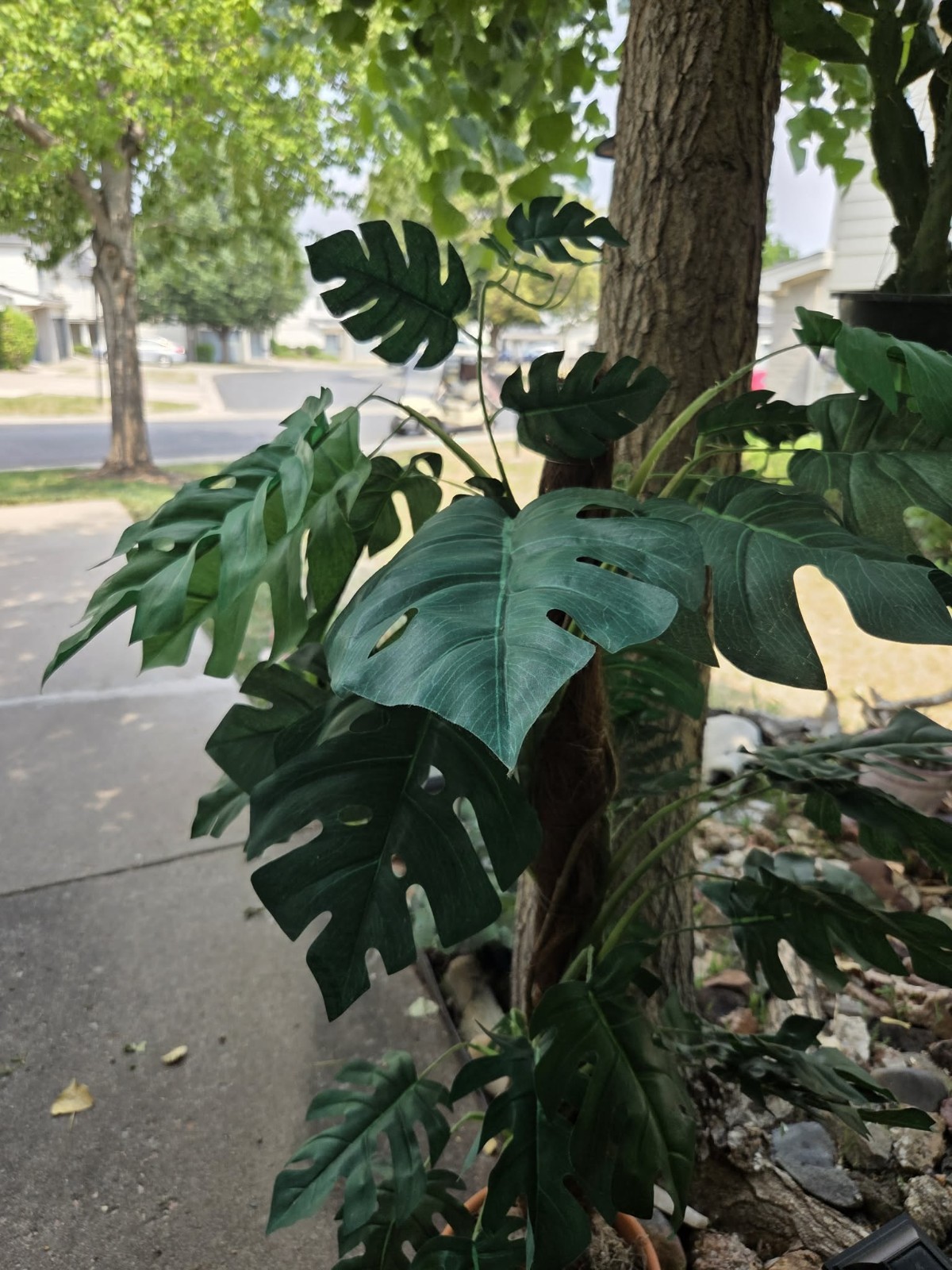 39″ 3.3ft Faux Artificial Monstera Tree Fake Plant in Pot Indoor – Realistic!