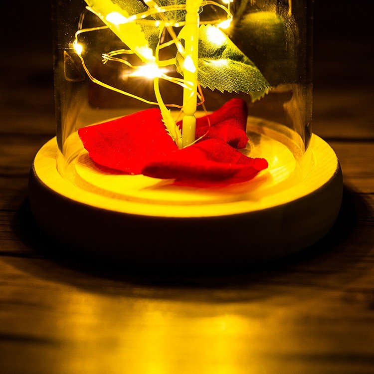 Eternal Rose in Glass Dome LED Light – Valentine’s Day Gift for Her, Anniversary