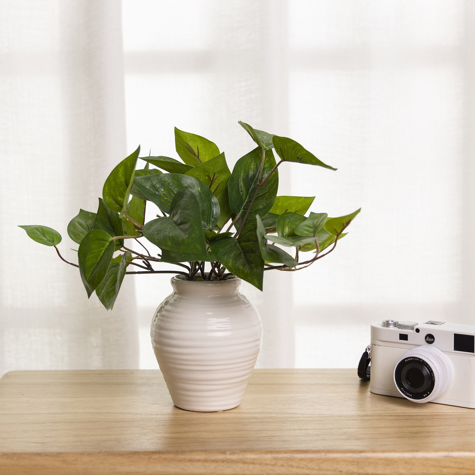 (4 pack) 11” Artificial Golden Pothos in White Color Ceramic Pot