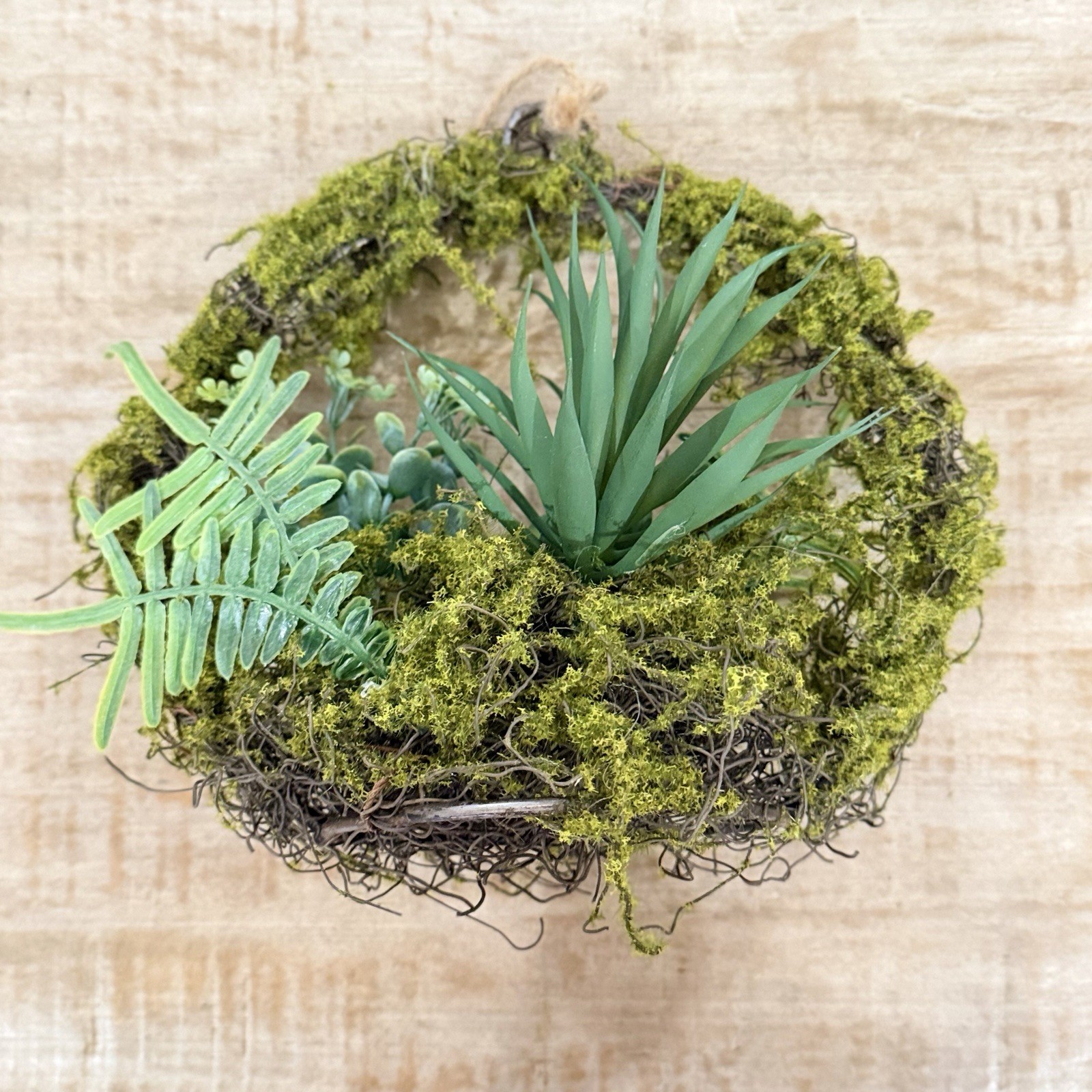 Artificial Succulent & Moss Hanging Wall Wreath Arrangement, Green Plastic 6×6″