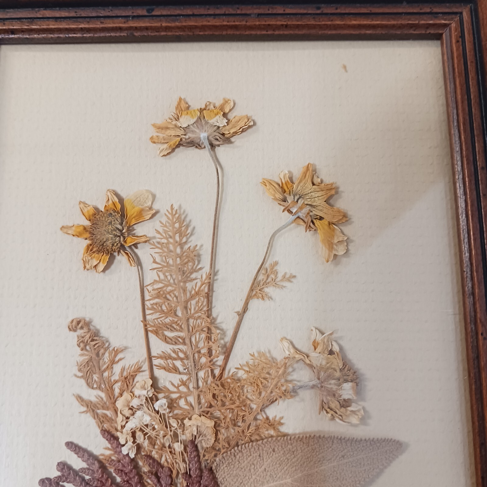 Framed Dried Flower Arrangement 7×6 Multicolored Custom Framed