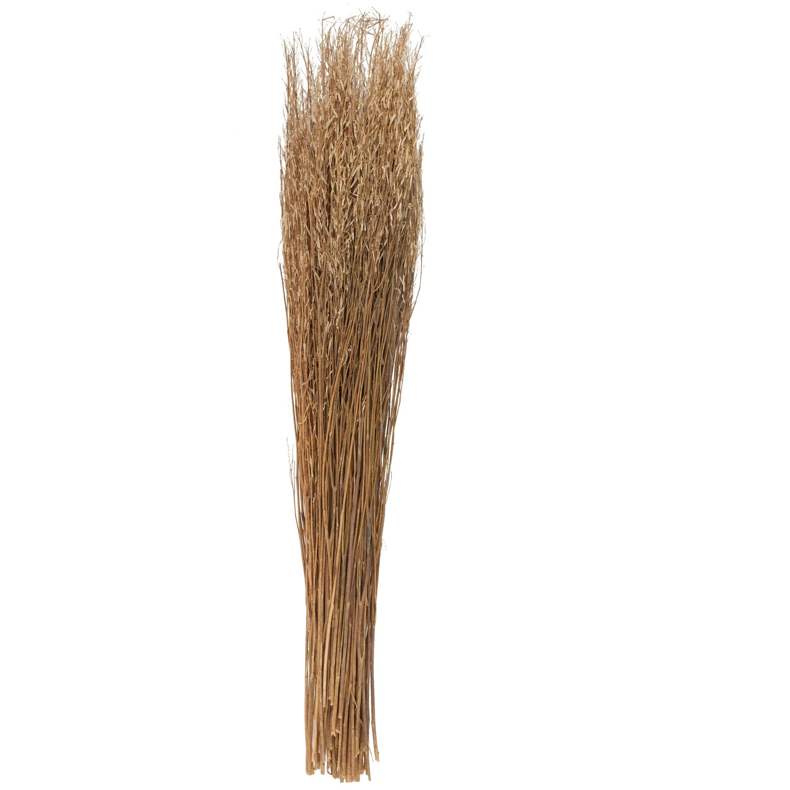 42″ Tall Sticks Dried Plant Natural Foliage Bouquet with Grass,