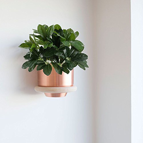 Artificial Shrubs Plants Fake Silk Schefflera Bushes Real Touch Fauxery Green