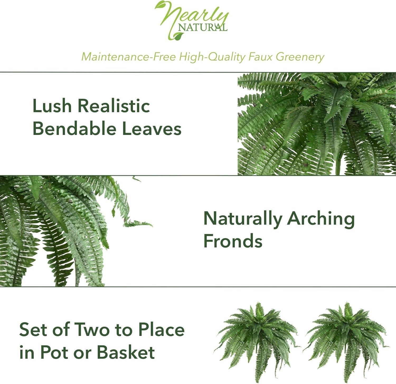 Maintenance-Free Greenery for Office Decor