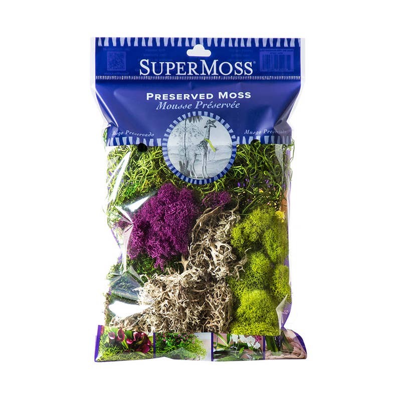 SuperMoss Best Sellers Moss Mix – Spanish, Reindeer, Sheet & Lichen – 2oz Craft