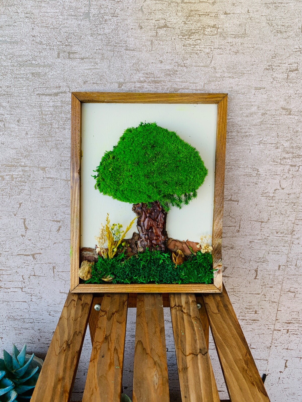 Preserved Tree Moss Wall Art, Handmade Home Decor, Nature Decor, Handmade Gift