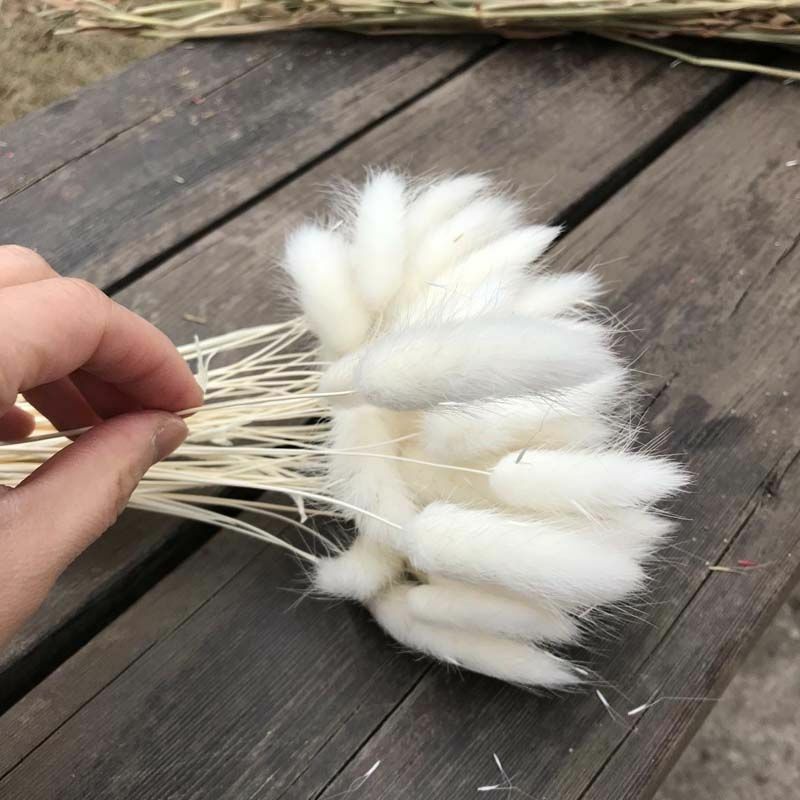 35-40CM 50PCS Dry Bunny Tail Grass Dried Natural Flower Rabbittail DIY Decor NEW