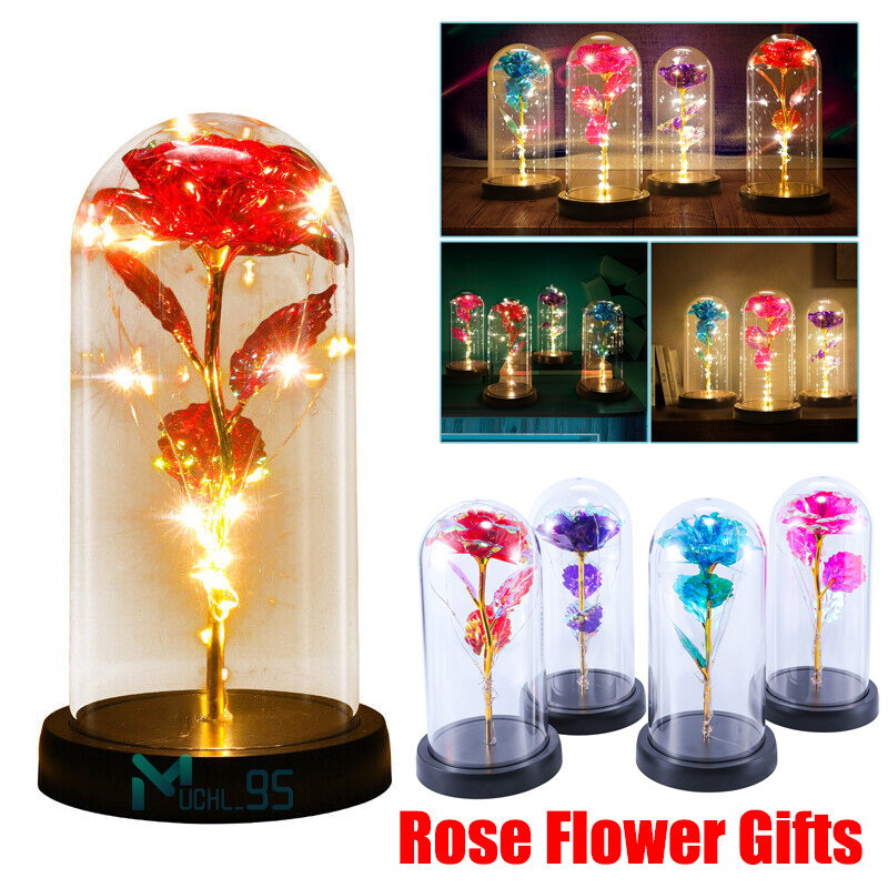 Romantic Rose Flower In Dome Glass LED Night Light Anniversaries Christmas Gifts