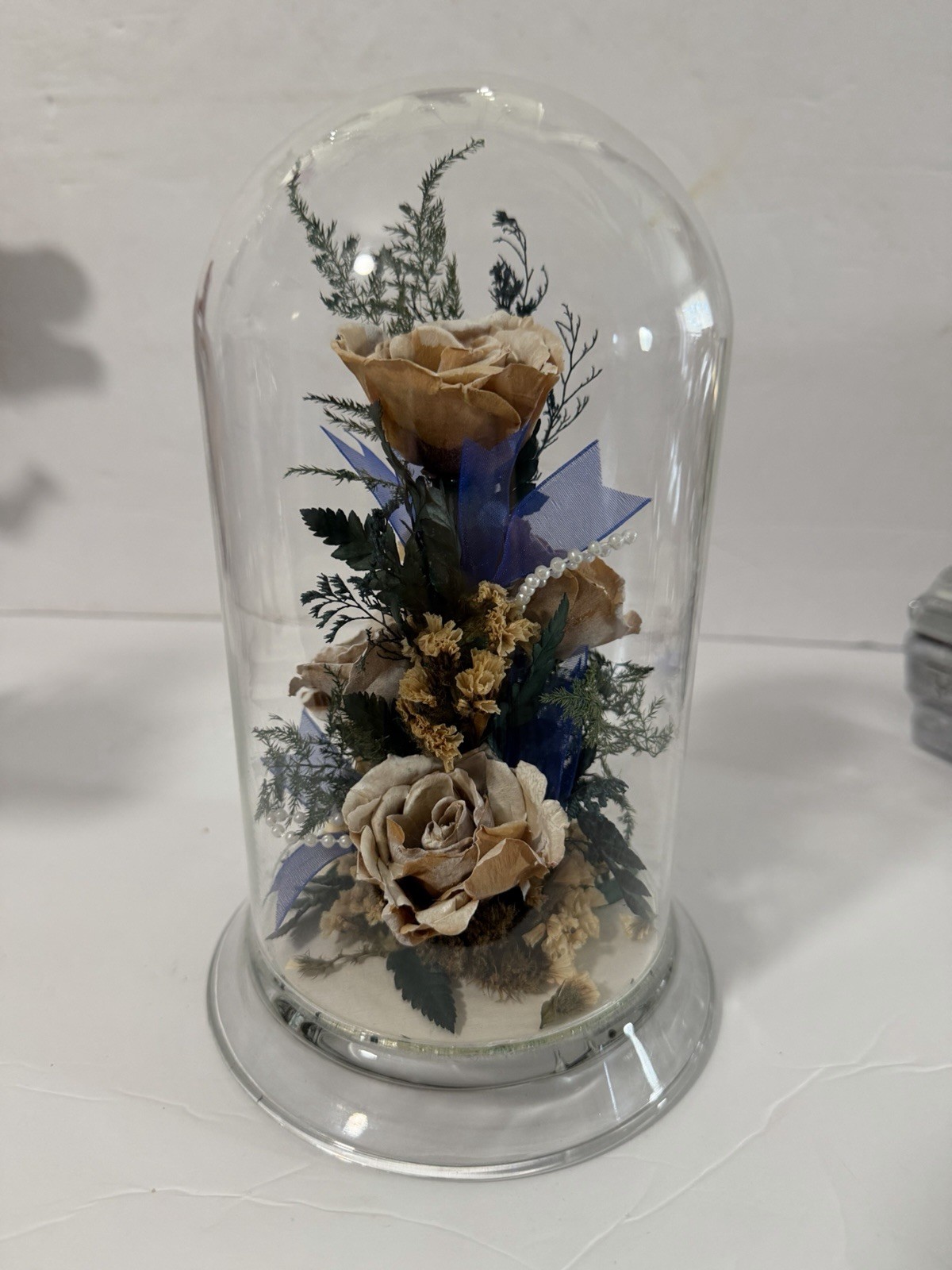Natural Expressions Real Freeze Dried Rose Floral Dome Glass Display 8”