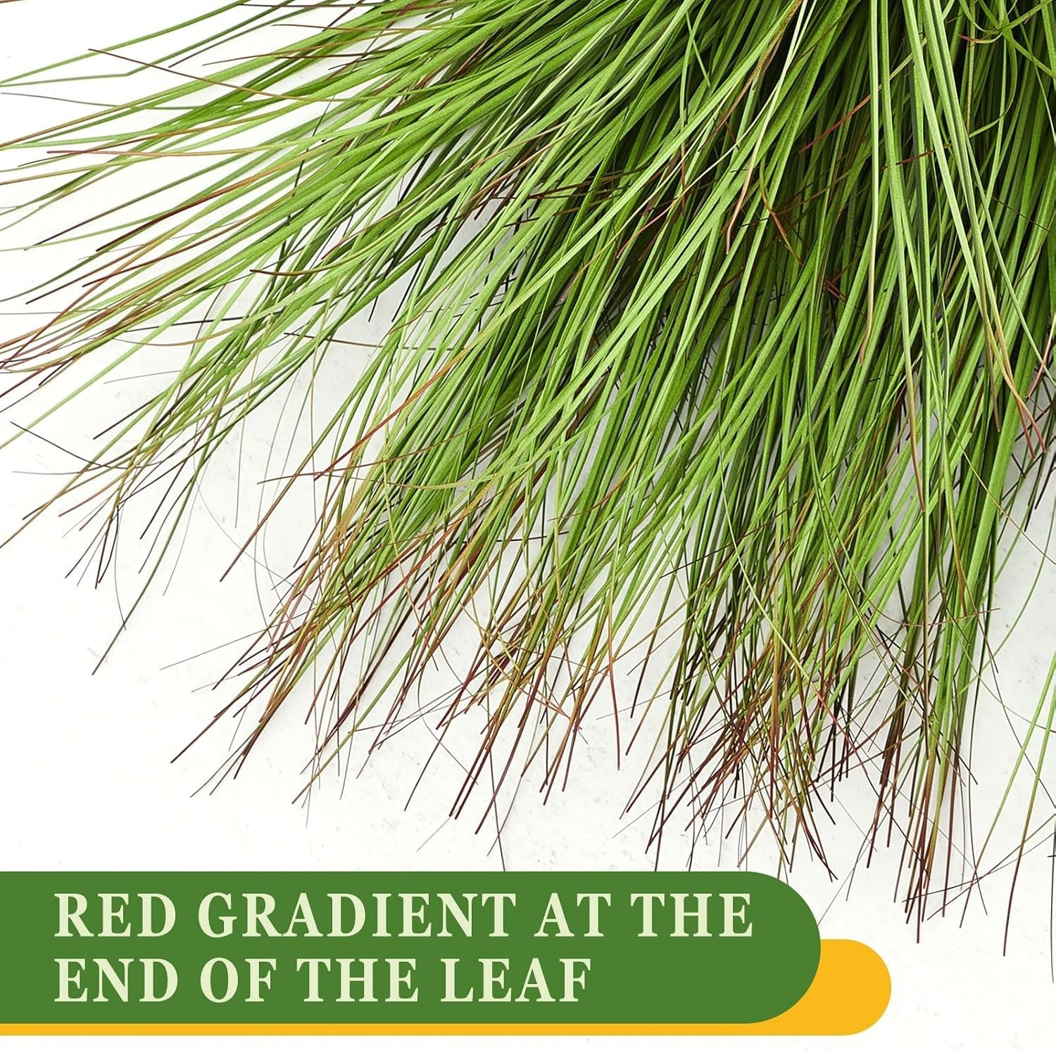 12 Pcs Beautiful Faux Grass Plants – Chic Greenery for Effortless Elegant Decor