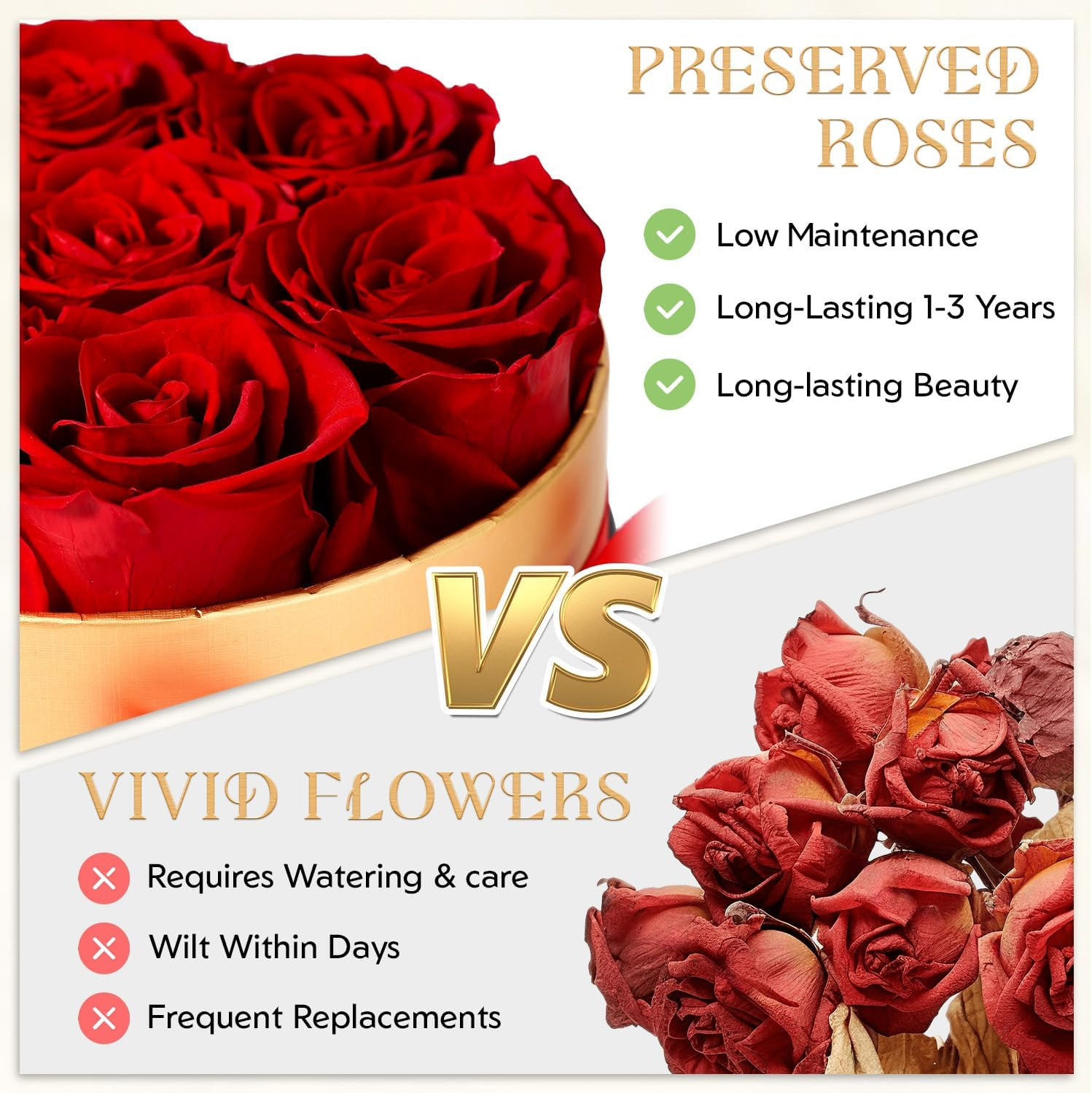 7 Preserved Roses in Box – Real Forever Eternal Flowers Gift for Her Mom Valenti