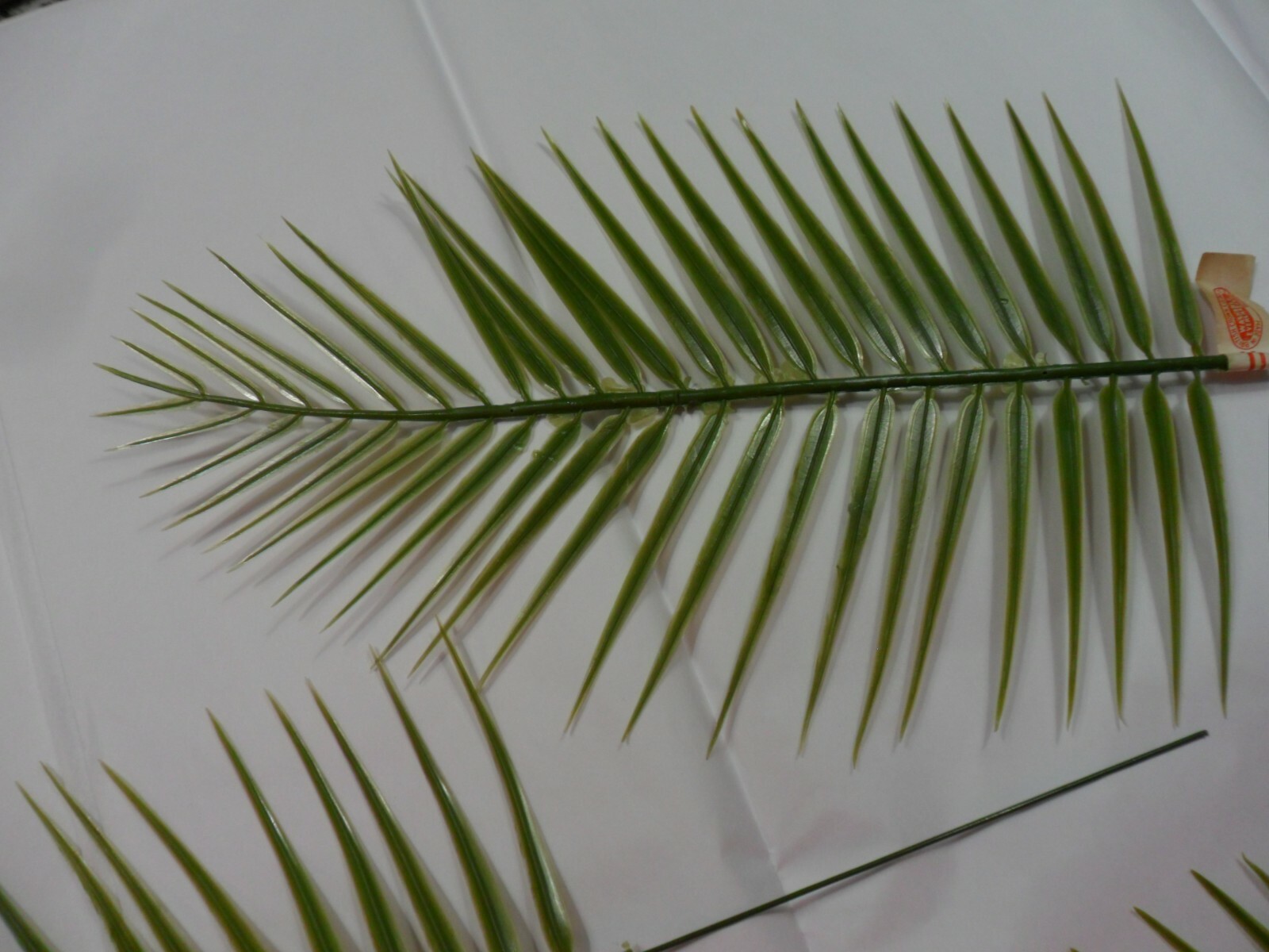 Vintage Plastic Green Palm Fern Stems – Set of 3