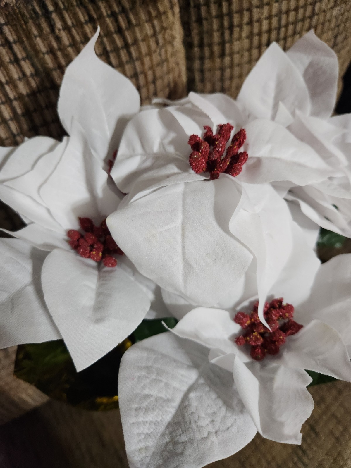Holiday Time Aritificial Poinsettia Plant With Gold Foil Pot White Velvet 17in