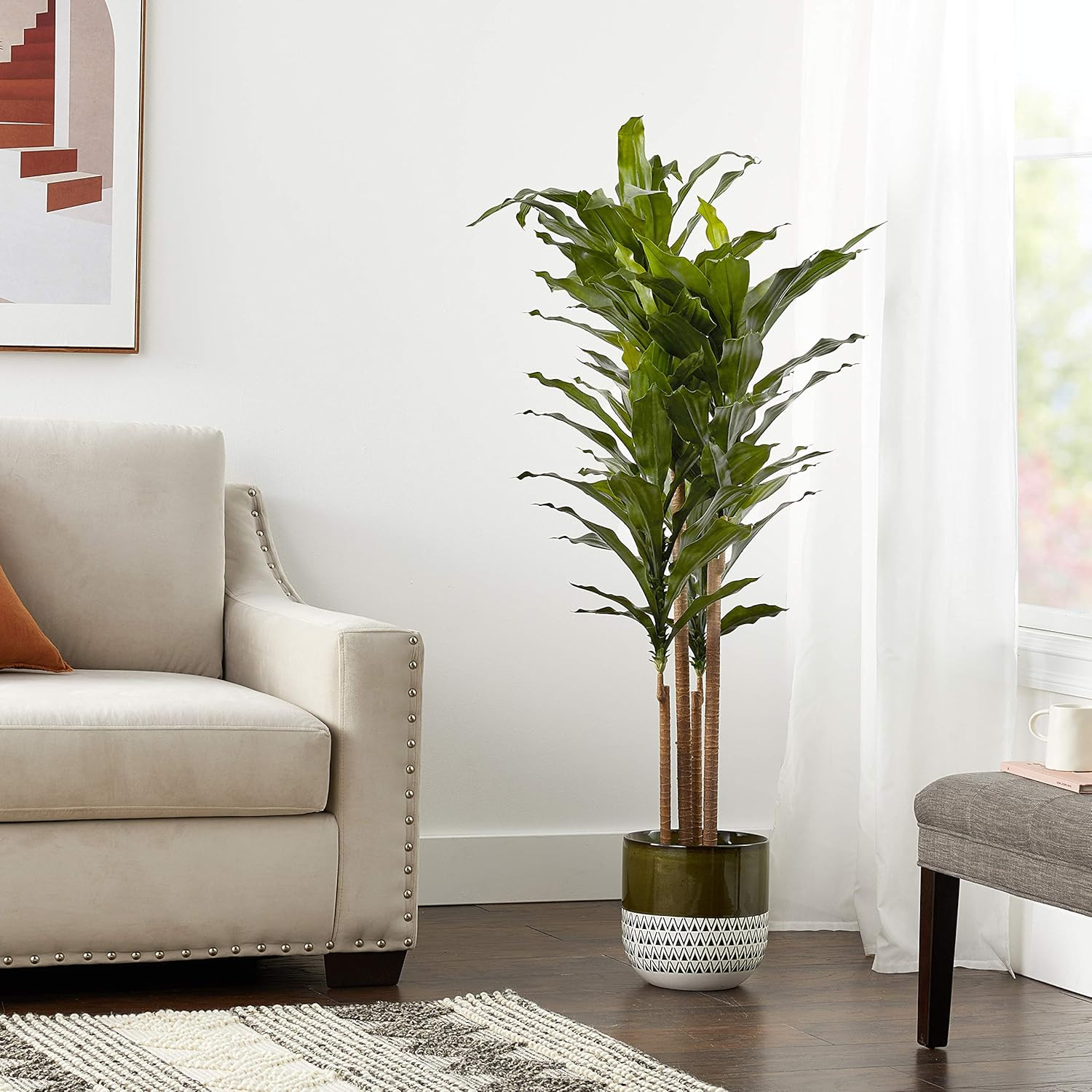 Vibrant 5Ft. UV Resistant Dracaena Plant for Indoor/Outdoor Decor