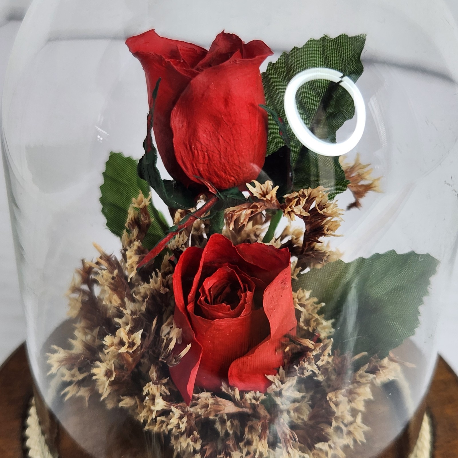 Vintage Real Preserved Red Roses Glass Dome Cloche Wood Base Floral Display