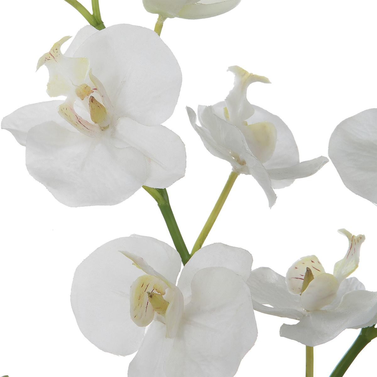 Uttermost 60201 Glory White and Green with Clear Glass Orchid