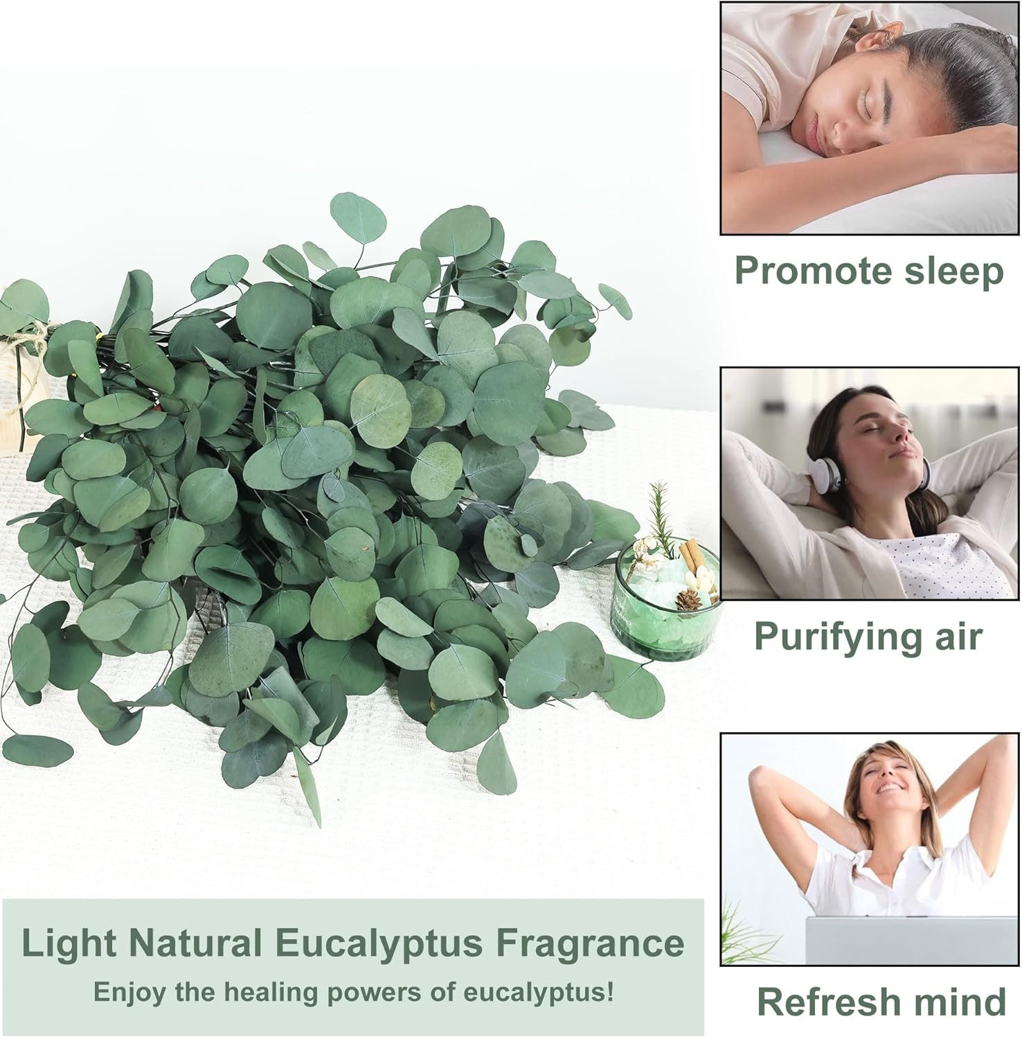 30 Pcs Real Dried Eucalyptus Stems, 17″ Preserved Fresh Eucalyptus Silver Dollar