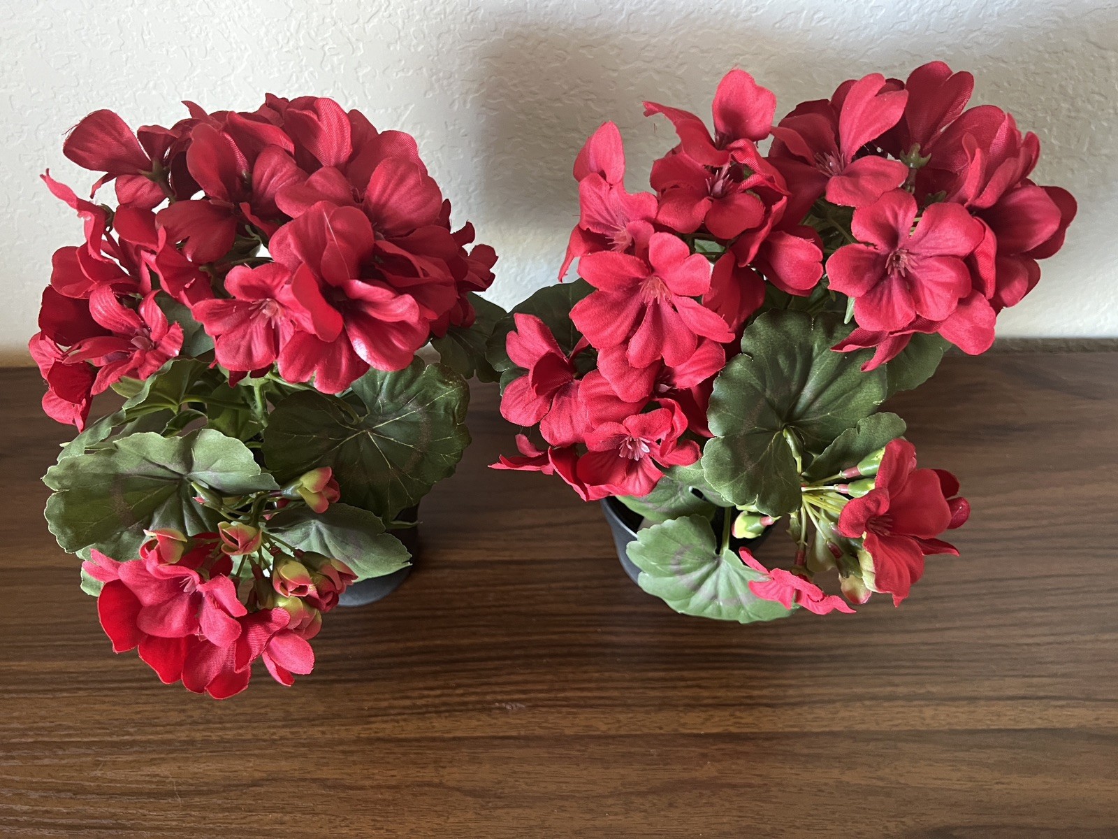 SET OF (2) 13″ GERANIUM POTTED PLANTS IN RED BY VALERIE PARR HILL Item H451619