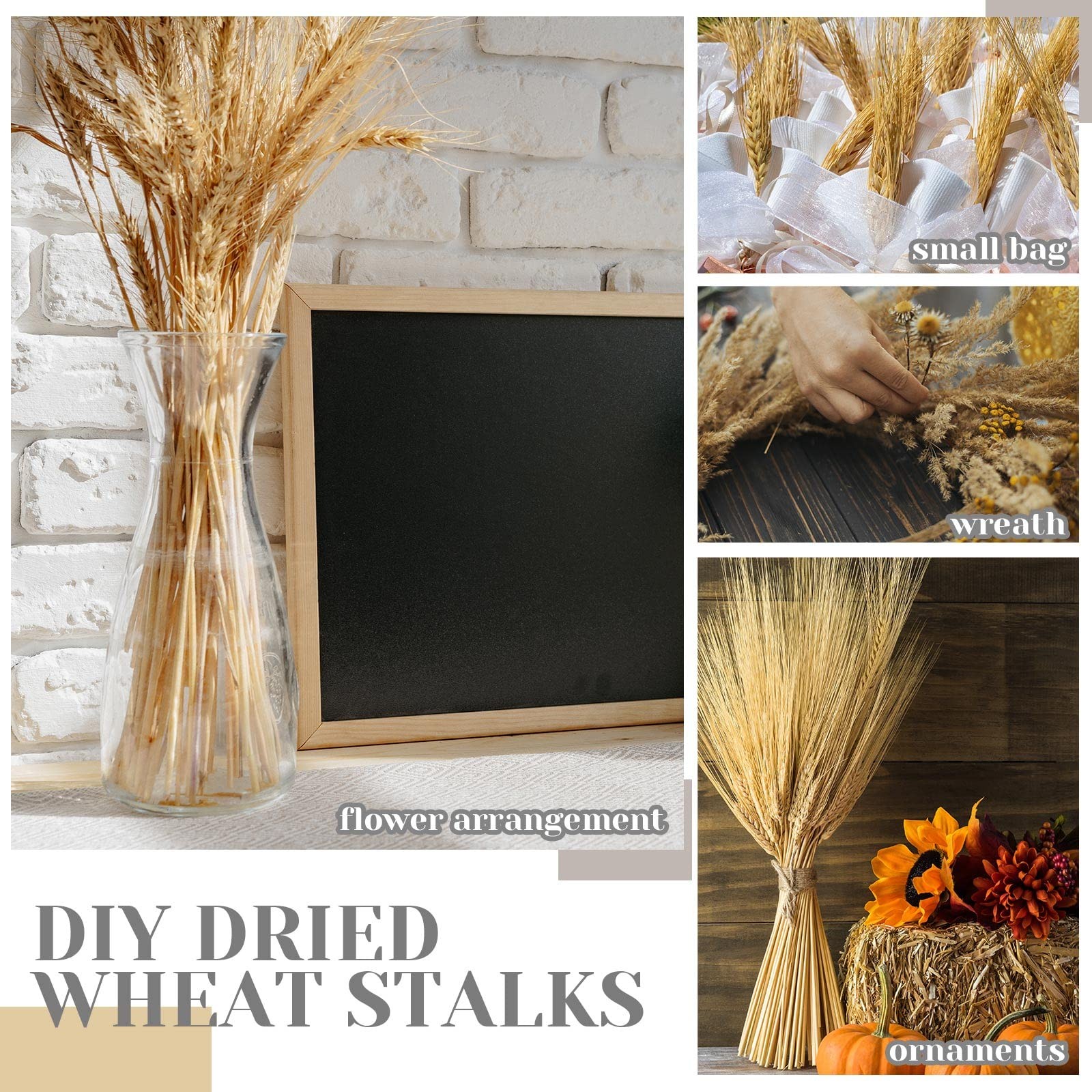 600 Pcs 16 Inch Natural Dried Wheat Stalks with Stems Dried Wheat Sheaves