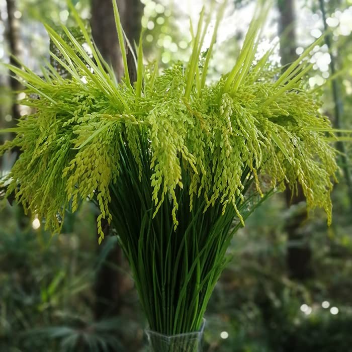 Fake Grain Paddy Ear of Rice Plant Green Plants Artificial for Home Decoratio…