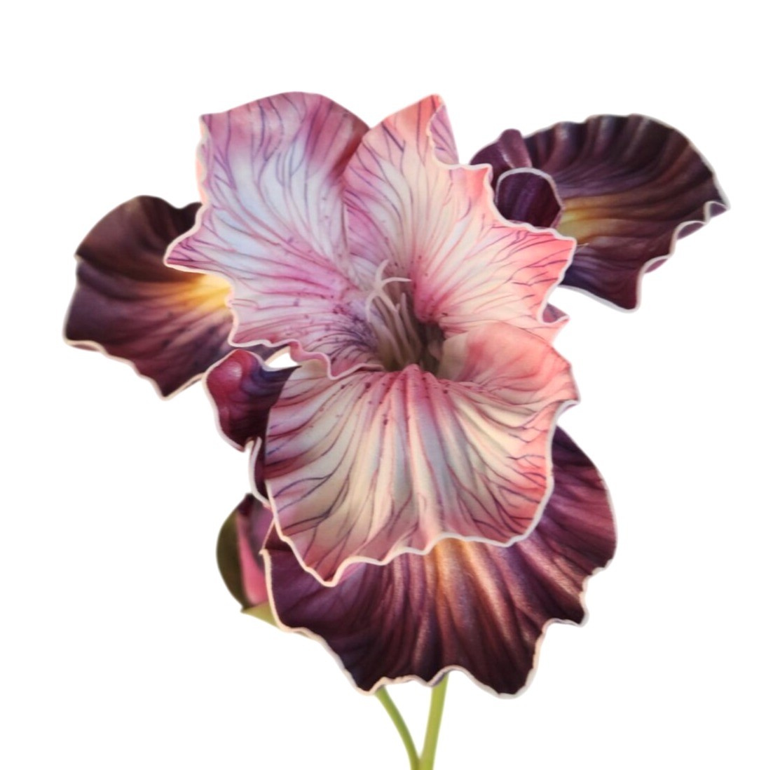 Blush Pink and Plum Purple Real Touch Iris Stems Set of 2 21 Inch Faux Flowers f