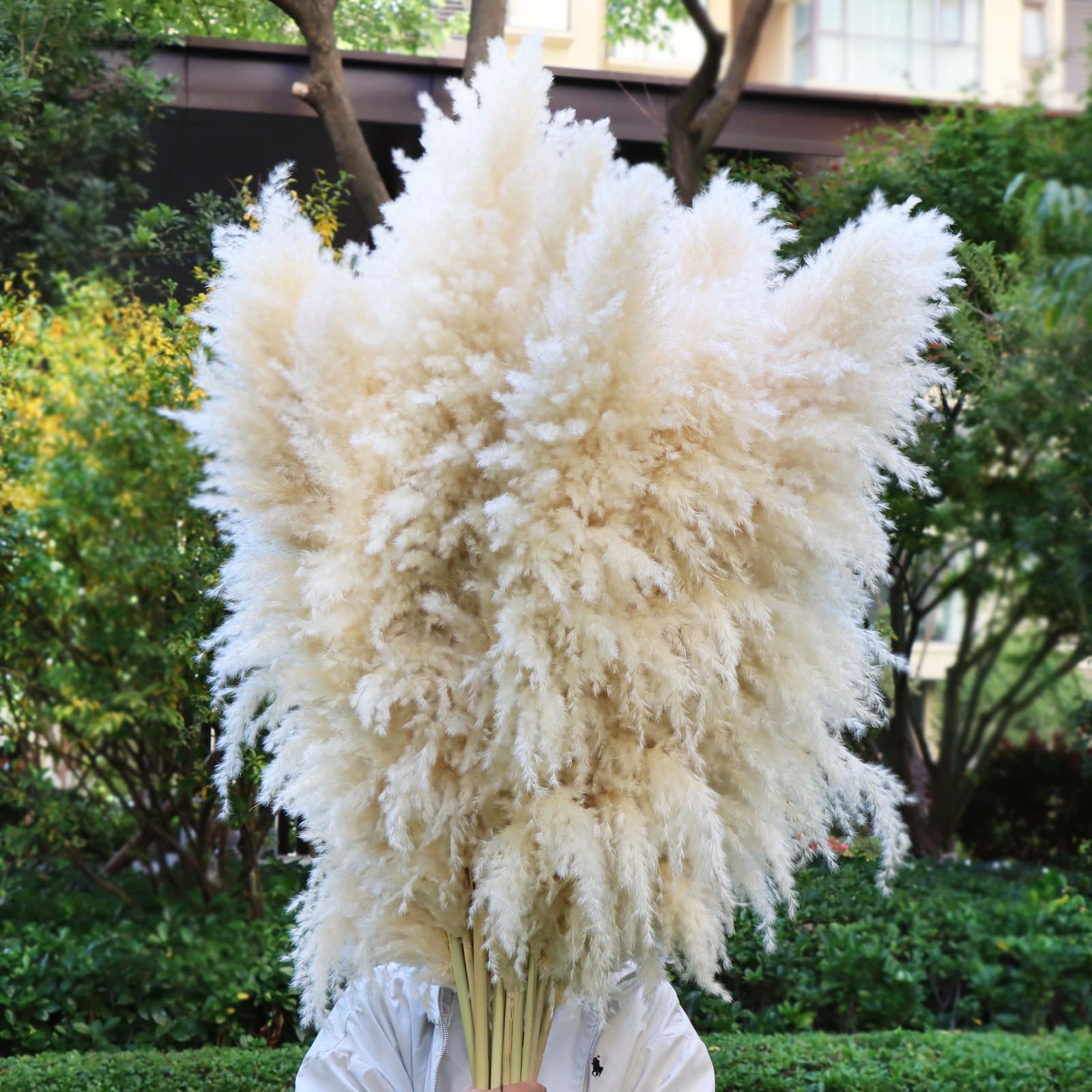 12 PCS 46 Inch Dried Pampas Grass Decor Tall Beige Pompas Floral Floor Vase