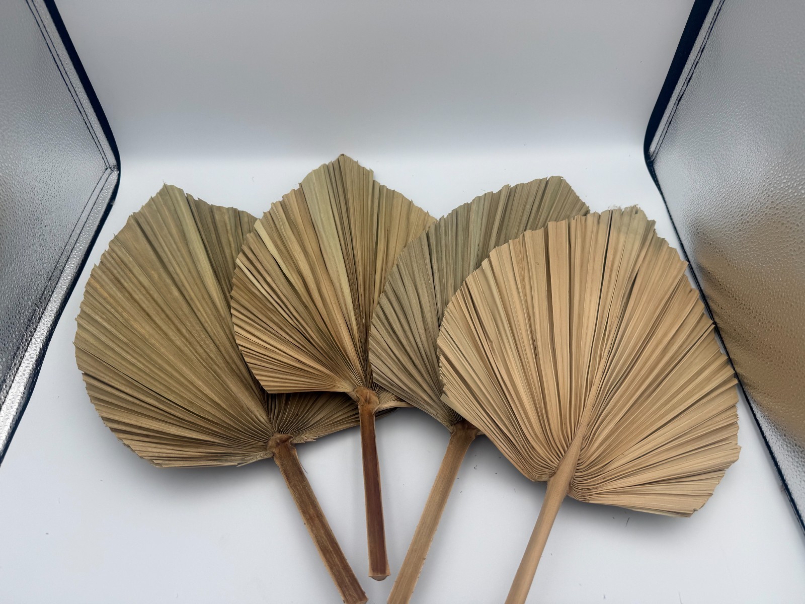 Dried Palm Leaves Fan Wall Decor Kit Natural Ornamental Grass Stems 16-17 in