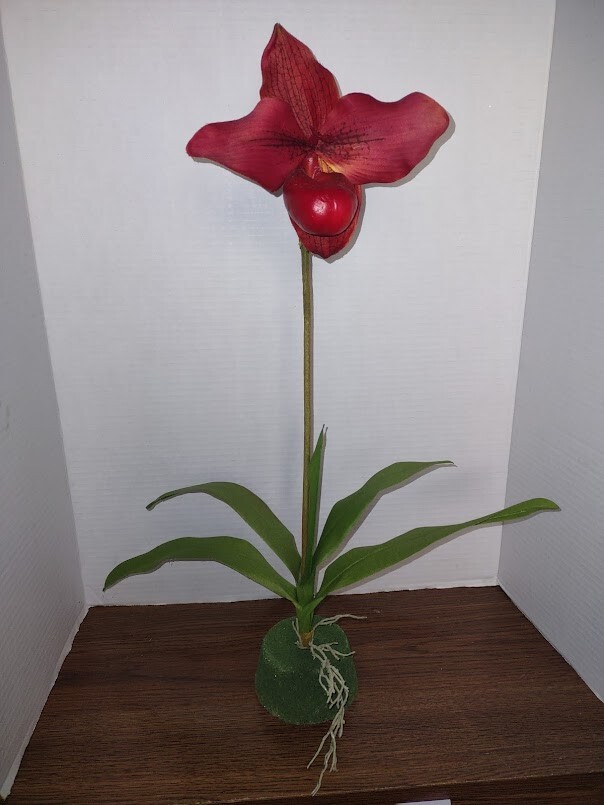 LARGE Artificial Paphiopedilum Lady Slipper Orchid on disc. BURGUNDY