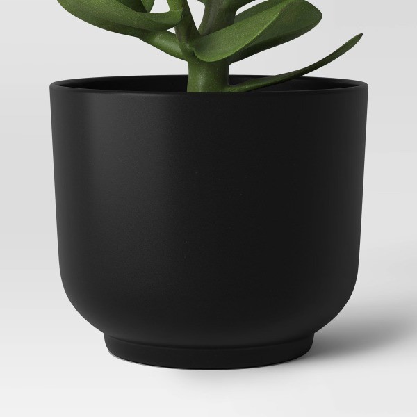 Succulent Artificial in Black Pot