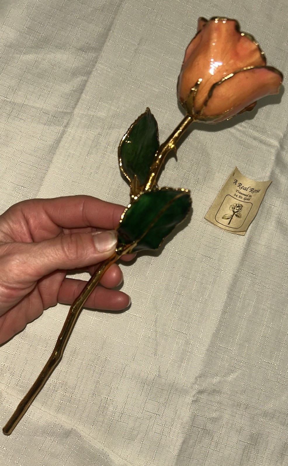 24K Gold Trimmed Real Peach Forever Rose Crystal Vase Green Glass Keepsake