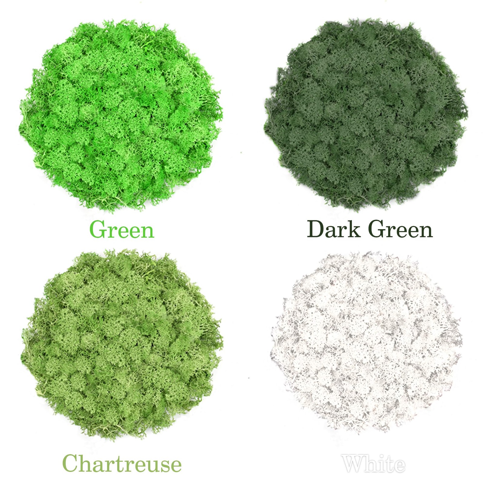 Preserved Reindeer Moss Set, 14 oz, Green, Dark Green, Chartreuse and White C…