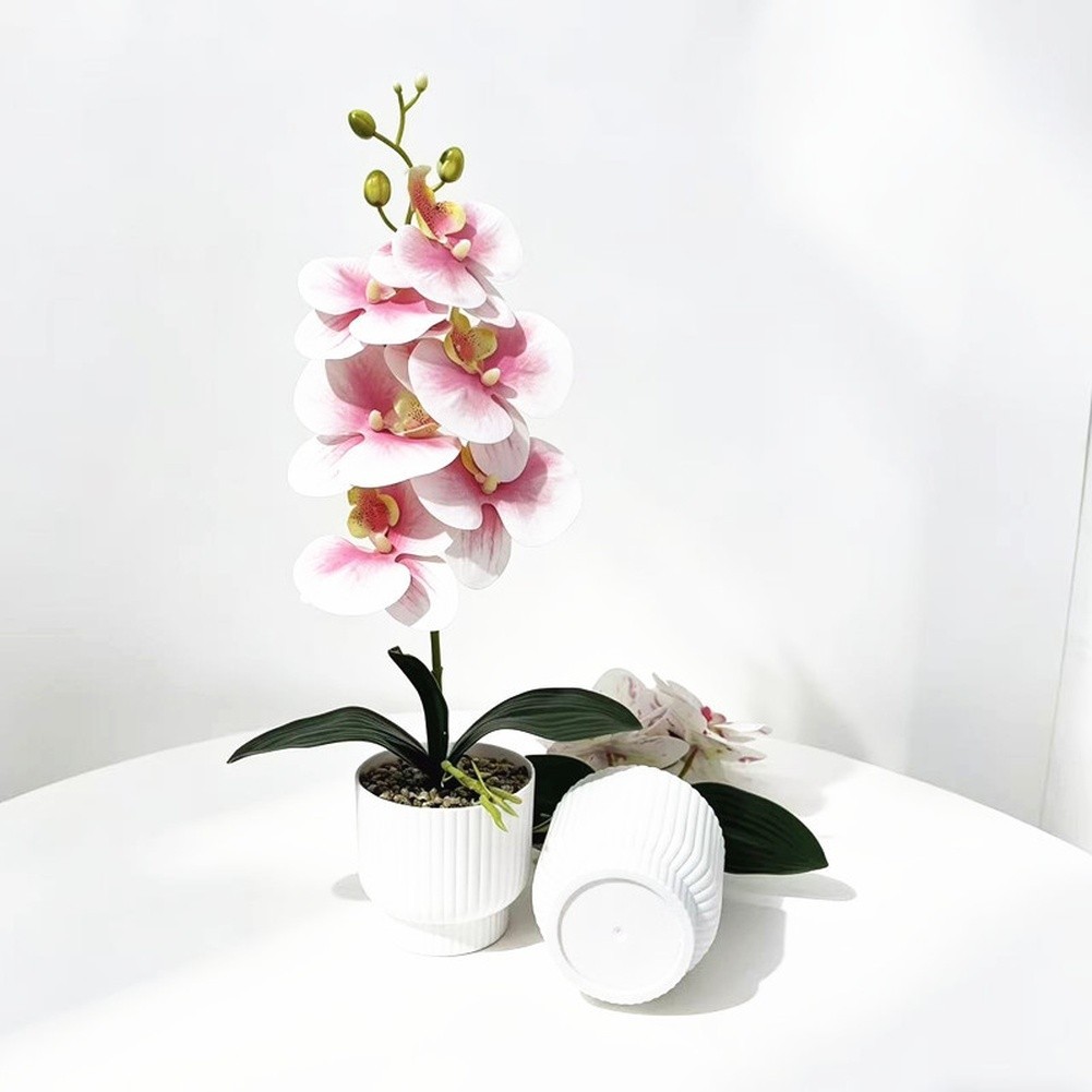 42cm Phalaenopsis Orchid Fake Flower Plastic Stem with Natural Texture