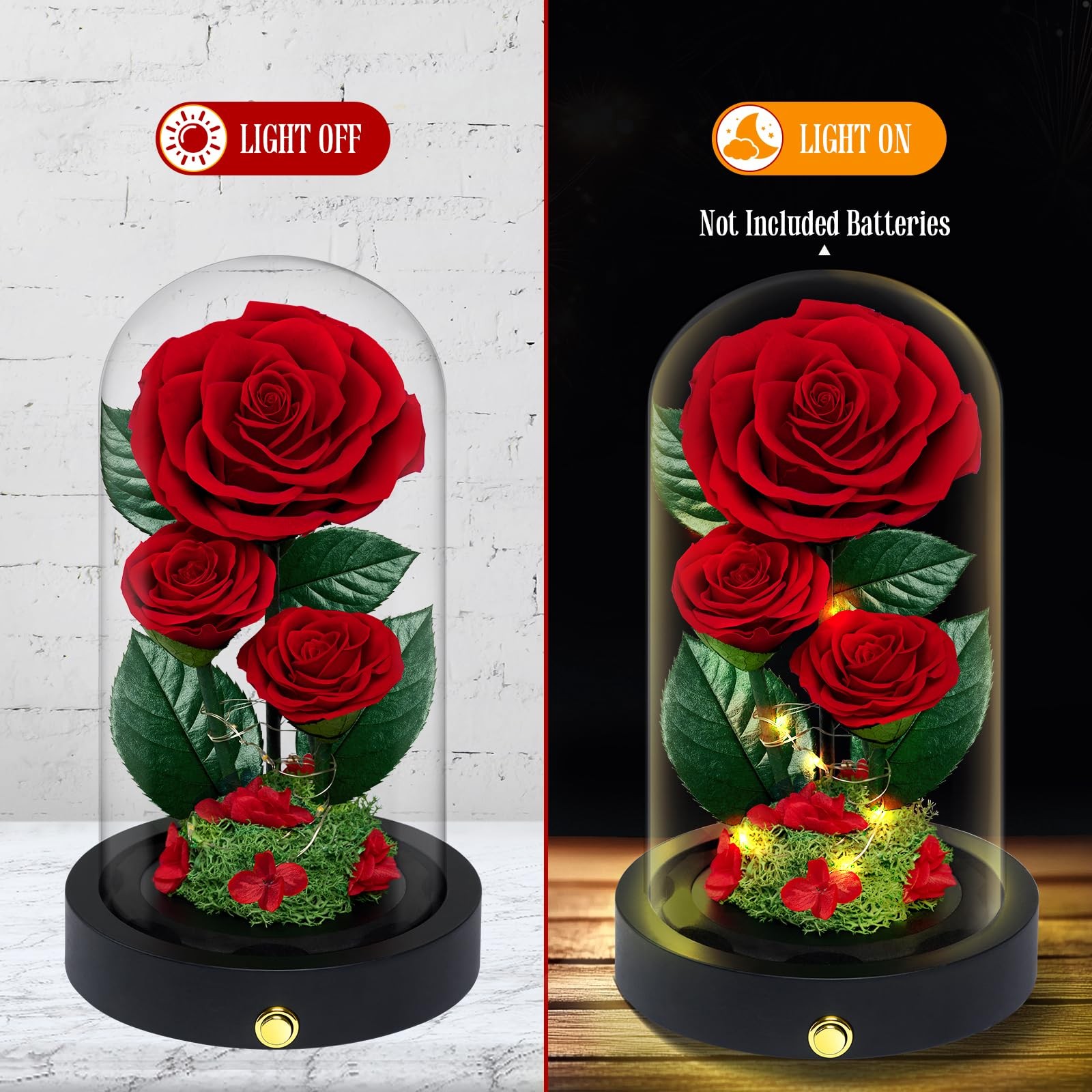 3 Preserved Flowers Roses in Glass Dome for Beauty and The Beast Decor Real R…